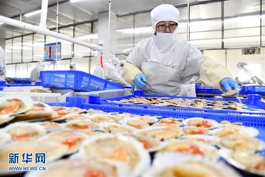 積極發展海洋食品加工產業，構建全產業鏈協同發展新格局