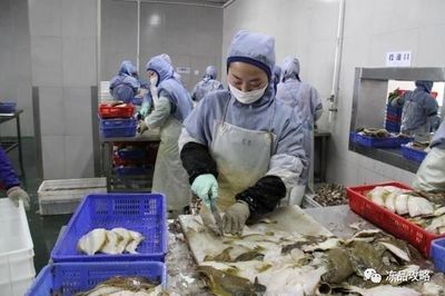 俄羅斯原料主導未來？琿春海產加工業迎來新動力
